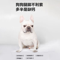 卫仕狗狗乳钙片 宠物泰迪金毛幼犬钙大型犬健骨补钙宠物补钙 犬乳钙片80g(约160片)