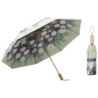 范爷家复古油画双层晴雨伞高颜值便携折叠加粗防晒太阳伞防紫外线遮阳伞