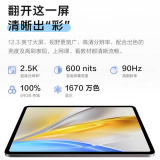 vivo Pad SE 12.3英寸 Android 平板电脑（骁龙 4 Gen2、8GB、128GB、WiFi版、蓝色）