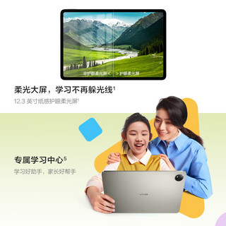 vivo Pad SE 柔光版 12.3英寸 Android 平板电脑（骁龙 4 Gen2、6GB、128GB、WiFi版、钛色）