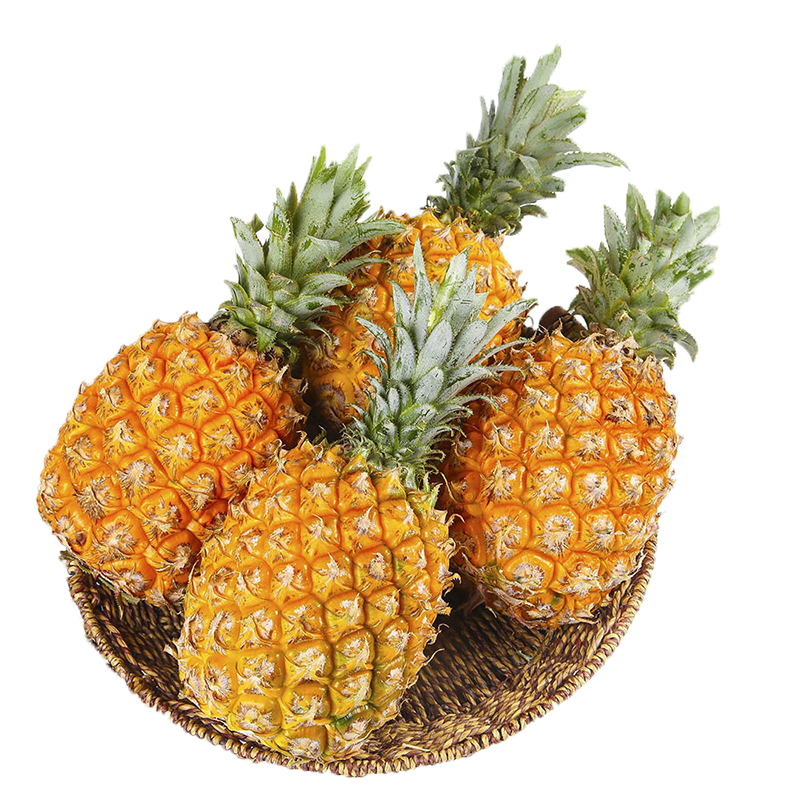 果迎鲜凤梨海南金钻凤梨新鲜水果菠萝 装