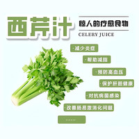 京觅山东大西芹 去半叶榨汁水果 净重 单棵约500g 源头直发