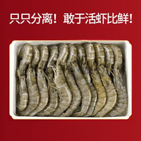渔吻虾青岛大虾青虾鲜虾海虾白虾基围虾大对虾海捕大虾净重3斤 14-16cm盐冻大虾 3斤(净重)