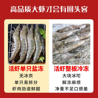 渔吻虾青岛大虾青虾鲜虾海虾白虾基围虾大对虾海捕大虾净重3斤 16-20cm盐冻大虾 3斤(净重)