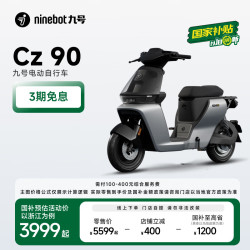 九号 妙想家Cz 90 电动自行车 48V25Ah锂电池 以太银