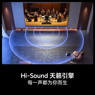 Hisense 海信 65E3NH-PRO 液晶电视 65英寸