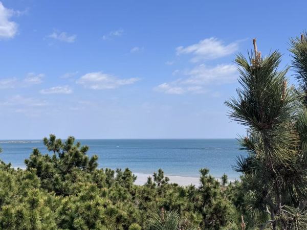 高铁4小时直达森泊新分号,轻松实现海景海鲜自由!山东日照开元森泊酒店新店开业套餐(附探店报告)