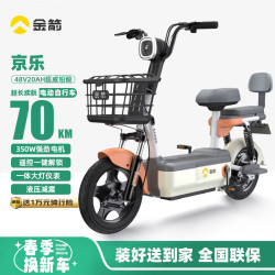金箭 新国标电动车 京乐  漫步白