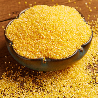 盖亚农场 有机玉米碴450g 玉米糁 玉米渣 苞米碴 五谷杂粮棒碴粥米粗粮