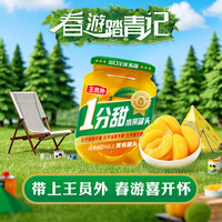 王员外控糖黄桃罐头减糖60%一分甜水果罐头整箱居家春游零食 *2瓶