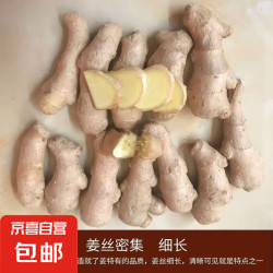 京东买菜山东大姜 山东老姜 500g