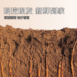 京觅 焦作温县垆土铁棍山药45cm5斤河南怀山药淮山药新鲜蔬菜特产粉糯 5斤45cm