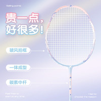mbfish 羽毛球拍双拍全碳素入门训练比赛羽毛球拍对拍24磅成品已穿线 【5U全碳素/独角兽1支】