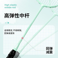 mbfish 羽毛球拍双拍全碳素入门训练比赛羽毛球拍对拍24磅成品已穿线 【5U全碳素/ 苹果绿1支】