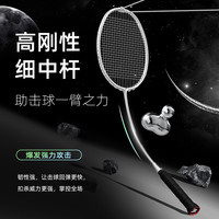 mbfish 羽毛球拍双拍全碳素入门训练比赛羽毛球拍对拍24磅成品已穿线 【5U全碳素/太空银1支】