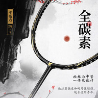 mbfish 羽毛球拍双拍全碳素入门训练比赛羽毛球拍对拍24磅成品已穿线 【4U全碳素/钢甲黑1支】