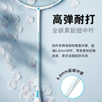 mbfish 羽毛球拍双拍全碳素入门训练比赛羽毛球拍对拍24磅成品已穿线 【5U全碳素/ 青花瓷1支】