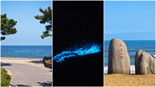 高铁4小时直达森泊新分号,轻松实现海景海鲜自由!山东日照开元森泊酒店新店开业套餐(附探店报告)