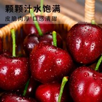 硕莓遂禧山东美早大樱桃车厘子 新鲜水果 单果22-26mm