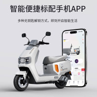 爱玛 A5PRO大电池长续航电动车高速智能电动摩托车 到店选色提车