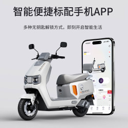 爱玛 A5PRO大电池长续航电动车高速智能电动摩托车 到店选色提车