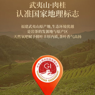 传奇饮艺武夷山大红袍乌龙茶叶武夷岩茶特选一级浓香型年货伴手送人礼盒装 岩茶肉桂【自饮】 8.35g*20包