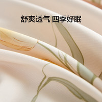 LOVO罗莱生活 100%纯棉四件套全棉超柔套件 床上用品单双人床单被套 【店长甄选】亭亭郁丽 1.5米 床单款 (被套200*230cm)