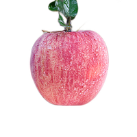 肴池陕西洛川的苹果红富士冰糖心脆甜特级整箱应当季霜降采摘周至仓发 大果8.5斤16-18枚【220-260克】