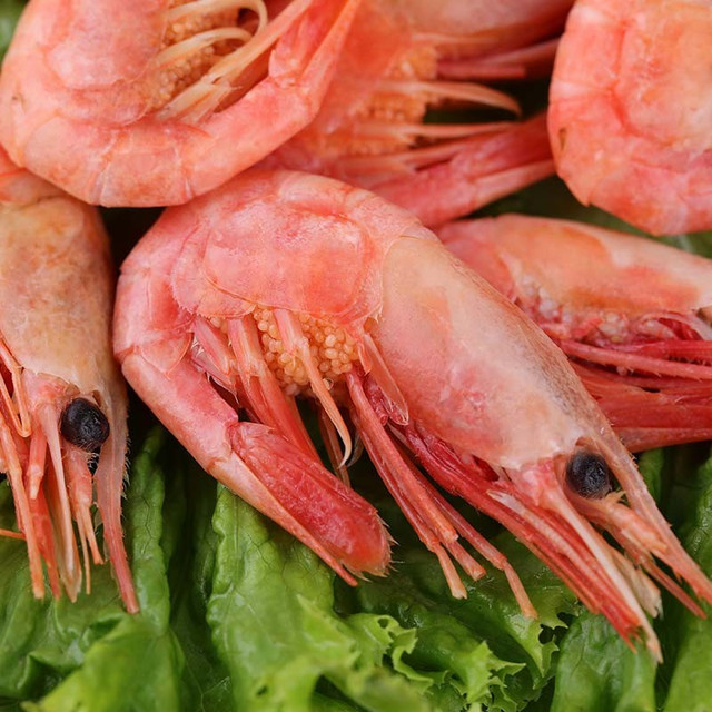 鲜拔头筹 北极甜虾 头籽即食熟冻冰虾 90-120规格 北极熊高腹籽 4斤/盒