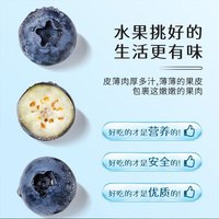 樱鲜 国产蓝莓新鲜 JD物流多地次日达 新鲜蓝莓时令水果整箱 带箱1斤 单果12mm+ 4盒净重400g+