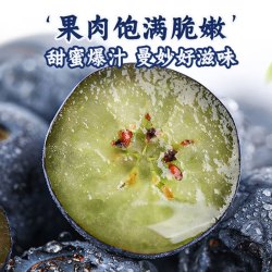 樱鲜 京丰味 云南花香蓝莓 4盒装单粒15mm+ 净重100-125g/盒带箱1斤