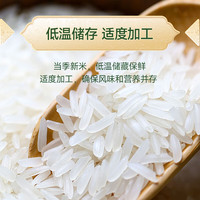 真功夫 原粮大米 泰国香米5kg 10斤 茉莉香 长粒米 香米 ·装·泰国香米 5kg