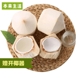 本来生活 benlai 本来工坊 泰国椰青 9个 800g~950g/个