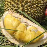 晨臻泰国金枕头榴莲鲜果 新鲜水果 软糯香甜 带箱7-8斤(净重6-7斤1-2个)