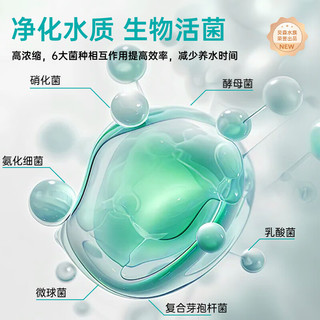 BESSN硝化细菌鱼缸水族箱除氯气清澈净分解粪便消化用品 BESSN鱼缸用硝化细菌净化水质