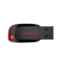 SomnAmbulist快速投标u盘招投标用小容量标书usb2.0闪存盘可约定刻字logo优盘 SOM侧边黑红-128MB