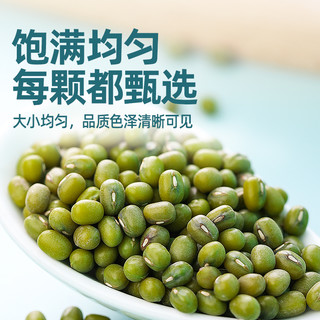 九月的诗东北有机绿豆新鲜可发芽农家优质新货皮薄杂粮粥
