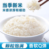 优福臻稻 珍珠米 大米 圆粒米 当季新米 米香浓厚 【优福】珍珠米500g*3袋