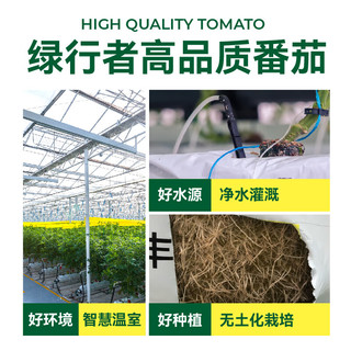 绿行者（GREER）桃太郎粉番茄 4.5斤 单果130g+ 约11-18枚 西红柿蔬菜 源头直发 