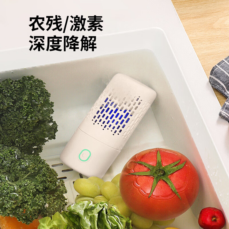  dapai/达派 去农药残留 果蔬清洗机+钛电解片  椰奶白