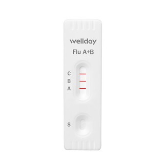 维德（WELLDAY）甲流乙流感病毒检测试剂盒鼻塞咽痛感冒发热老人儿童可测 【流感抗原检测】甲型/乙型  2人份