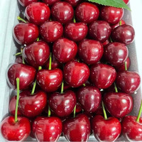 京觅山东烟台大樱桃美早国产车厘子新鲜水果应季2.8斤J-26-28mm 2.8斤(净重)