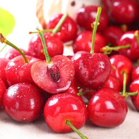 鲜山东大樱桃礼盒装 现摘新鲜时令水果整箱酸甜多汁国产车厘子 2.7斤(净重) 【带箱3斤】 超大果【28-32mm】
