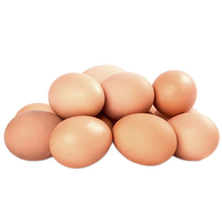 京典光年鸡蛋 变蛋 散养土鸡蛋新鲜现捡鲜鸡蛋 10枚