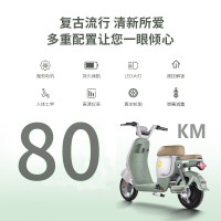 移动端、京东百亿补贴：新日 新国标电动车星空48V24Ah锂电池电瓶车代步助力自行车烟雨灰