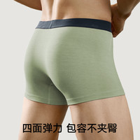 松山棉店兰精莫代尔男士内裤透气无痕四角裤男款抗菌男生平角短裤 浅绿+浅蓝+白色 180/XL