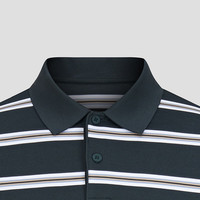 七匹狼【含桑蚕丝】短袖POLO衫夏季翻领条纹透气舒适短袖T 112(中蓝) M 165/88A