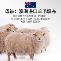 LUOLAI罗莱家纺澳洲羊毛被子被芯尊享蚕丝羊毛二合一被四季通用 二合一被【蚕丝子被+羊毛母被】