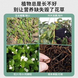 德沃多肥料植物营养棒通用18支园艺绿植养花肥料缓释肥种植棒花卉果蔬 植物缓释营养棒18支/盒