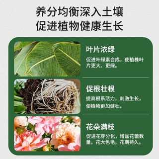 德沃多肥料植物营养棒通用18支园艺绿植养花肥料缓释肥种植棒花卉果蔬 植物缓释营养棒18支/盒